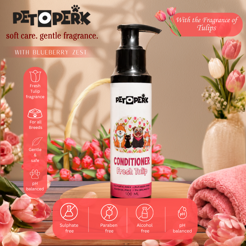 Fresh Tulip Conditioner